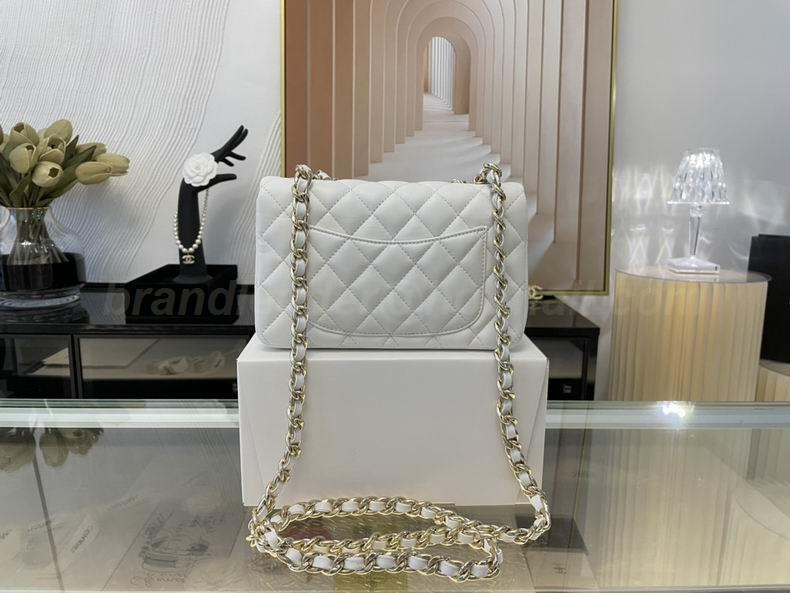 Chanel Handbags 393